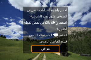 شاشات العينة