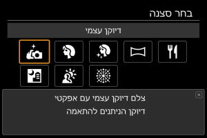 מסכים לדוגמא