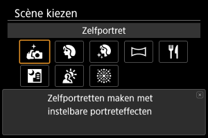 Voorbeeldschermen