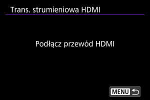 Przykładowy ekran
