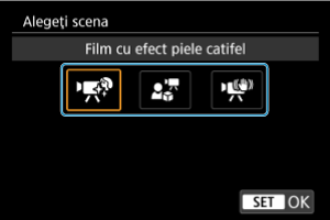 Ecran mostră