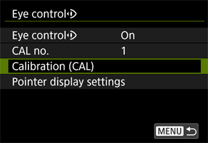 Eye control calibration screen